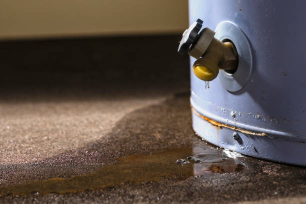 Best Sewage cleanup and water damage restoration  in Fairbury, IL