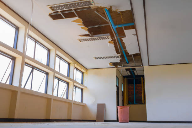 Best Water damage restoration near me  in Fairbury, IL