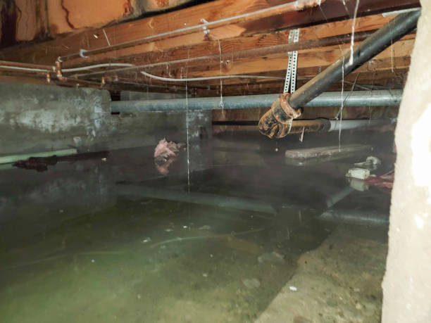  Fairbury, IL Water damage restoration Pros