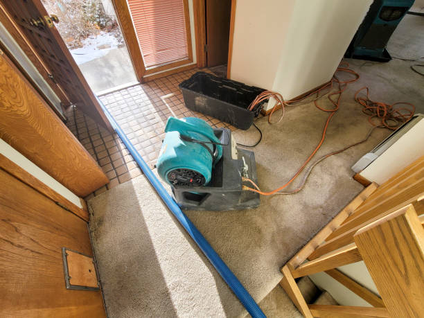 Best Flood restoration services  in Fairbury, IL