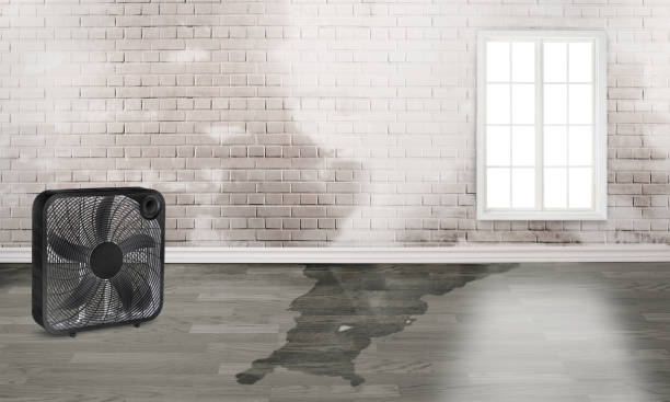 Best Fire Damage Restoration  in Fairbury, IL