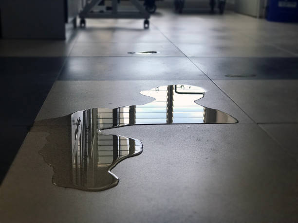 Best Commercial water damage restoration  in Fairbury, IL