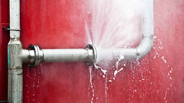 Best Professional water damage repair  in Fairbury, IL