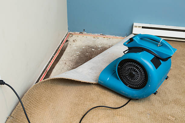 Best Emergency water damage restoration  in Fairbury, IL